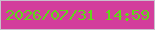 文字の大きさ：2、枠の色：c9c0cc、背景の色：d33e9c、文字の色：5ed819 無料ブログパーツのブログ時計