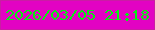 文字の大きさ：4、枠の色：ca1da4、背景の色：e203c3、文字の色：05ef13 無料ブログパーツのブログ時計