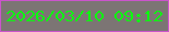 文字の大きさ：2、枠の色：cb54cc、背景の色：7c7574、文字の色：0df811 無料ブログパーツのブログ時計