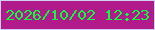 文字の大きさ：2、枠の色：d0d0f1、背景の色：b01a8a、文字の色：08ff3b 無料ブログパーツのブログ時計