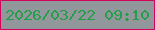 文字の大きさ：2、枠の色：d1035b、背景の色：91979a、文字の色：249e48 無料ブログパーツのブログ時計