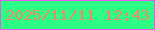 文字の大きさ：2、枠の色：e55dee、背景の色：2dfd84、文字の色：e58d69 無料ブログパーツのブログ時計