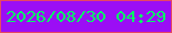 文字の大きさ：4、枠の色：e64763、背景の色：9b0ef5、文字の色：05f966 無料ブログパーツのブログ時計