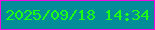 文字の大きさ：4、枠の色：ee0ce1、背景の色：028d99、文字の色：1bff14 無料ブログパーツのブログ時計