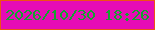 文字の大きさ：2、枠の色：ee5213、背景の色：e60cb5、文字の色：13a230 無料ブログパーツのブログ時計