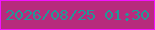 文字の大きさ：2、枠の色：f213ff、背景の色：b72b7d、文字の色：229996 無料ブログパーツのブログ時計