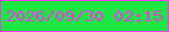 文字の大きさ：3、枠の色：f63cfa、背景の色：1fe544、文字の色：f335f2 無料ブログパーツのブログ時計