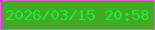 文字の大きさ：2、枠の色：f953f3、背景の色：40ab25、文字の色：20e745 無料ブログパーツのブログ時計