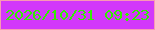 文字の大きさ：1、枠の色：f999b4、背景の色：d238fa、文字の色：33ec04 無料ブログパーツのブログ時計