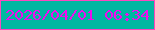 文字の大きさ：4、枠の色：fc47bf、背景の色：01b7a1、文字の色：ef0ded 無料ブログパーツのブログ時計