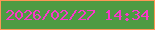 文字の大きさ：2、枠の色：fd9755、背景の色：4e9b43、文字の色：f938ca 無料ブログパーツのブログ時計